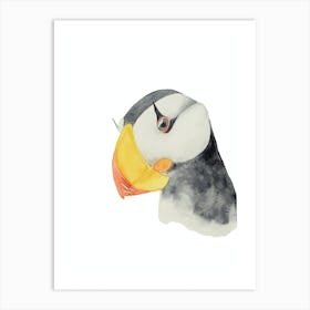 Bird puffin Art Print