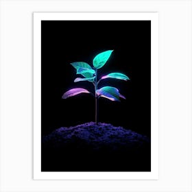 Neon Plant On The Ground Art Print