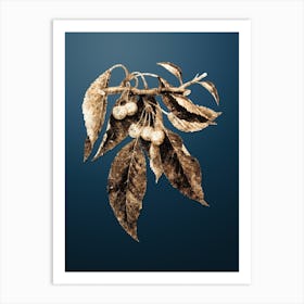 Gold Botanical Cherry on Dusk Blue n.3091 Art Print