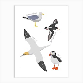 Sea Birds Art Print