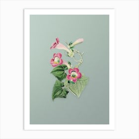 Vintage Blushing Lophospermum Flower Botanical Art on Mint Green n.0687 Art Print