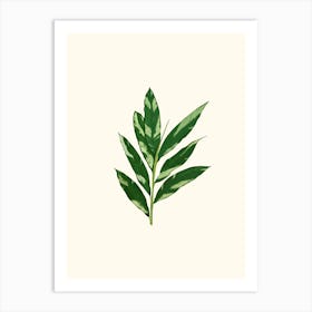 Green Leaf Plant Art Print