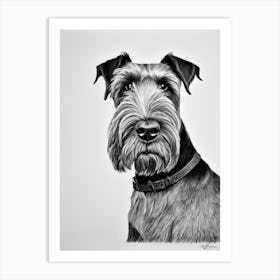 Giant Schnauzer B&W Pencil Dog Art Print