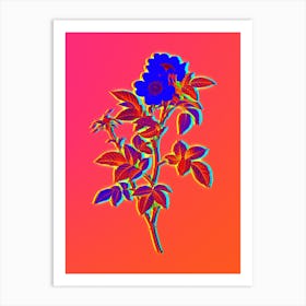 Neon White Anjou Roses Botanical in Hot Pink and Electric Blue n.0056 Art Print