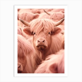 Pink Realistic Photography Of Highland Cows 4 Art Print