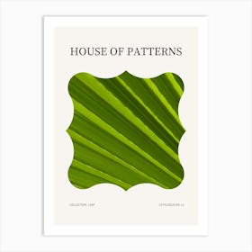 Leaf Pattern Poster 10 Art Print