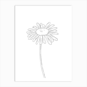 Daisy Line Drawing 1 Art Print