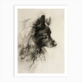 Icelandic Sheepdog Dog Charcoal Line 3 Art Print