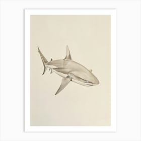 White Tip Reef Shark Vintage Illustration 2 Art Print