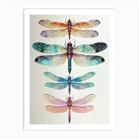 Colourful Insect Illustration Dragonfly 3 Art Print