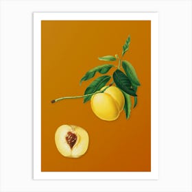 Vintage Yellow Apricot Botanical on Sunset Orange n.0493 Art Print