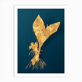 Vintage Koemferia Longa Botanical in Gold on Teal Blue n.0052 Art Print