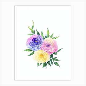 Ranunculus Watercolour Flower Art Print