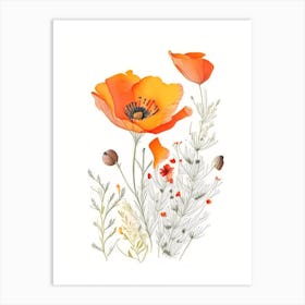 California Poppy Spices And Herbs Pencil Illustration 2 Art Print