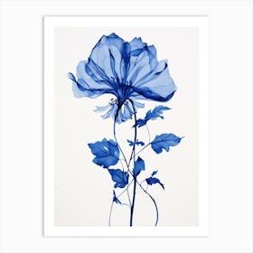 Blue Botanical Gloriosa Lily 4 Art Print