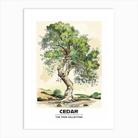 Cedar Tree Storybook Illustration 1 Poster Art Print
