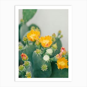 New Mexico Cactus III on Film Art Print