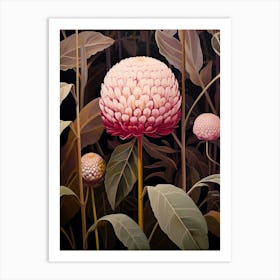 Flower Illustration Globe Amaranth 2 Art Print