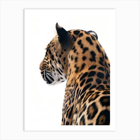 Jaguar 9 Art Print