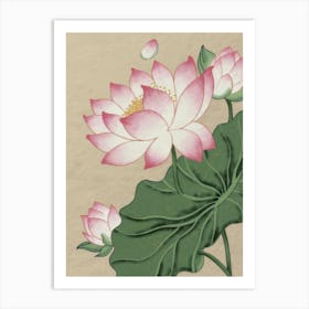 Lotus Flower 6 Art Print