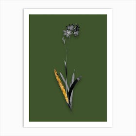 Vintage Corn Lily Black and White Gold Leaf Floral Art on Olive Green n.0730 Art Print