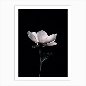 White Flower 20 Art Print