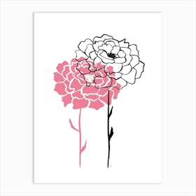 Two Peonies Art Print