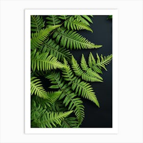 Pattern Poster Japanese Tassel Fern 3 Art Print