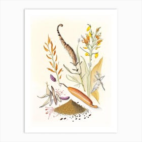 Cat S Claw Spices And Herbs Pencil Illustration 1 Art Print