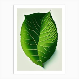 Slippery Elm Leaf Vibrant Inspired 1 Art Print