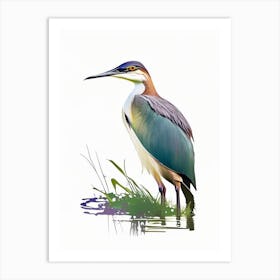 Javan Pond Heron Impressionistic 1 Art Print