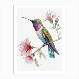 Hummingbird Watercolor Art Design Art Print