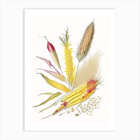 Corn Silk Spices And Herbs Pencil Illustration 1 Art Print