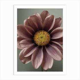 Purple Daisy Canvas Print Art Print