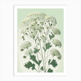 Queen Anne's Lace Wildflower Vintage Botanical Art Print