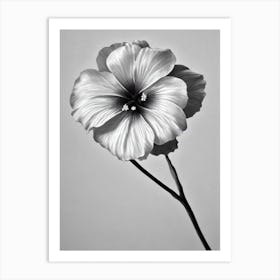 Hibiscus B&W Pencil 1 Flower Art Print