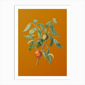 Aalyo Vintage Peach Botanical On Sunset Orange N Art Print