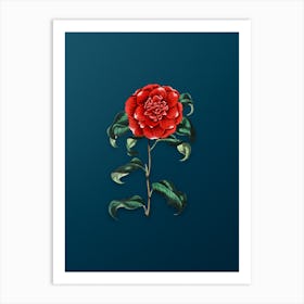 Vintage Mr. Reeves's Crimson Camellia Botanical Art on Teal Blue n.0012 Art Print