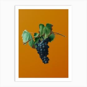 Vintage Grape Vine Botanical on Sunset Orange n.0555 Art Print