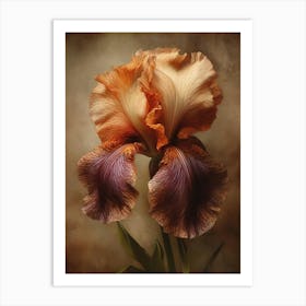 2024 May Poster Canvas Sng Iris 8 Art Print