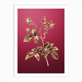 Gold Botanical Evrat's Rose with Crimson Buds on Viva Magenta n.2926 Art Print