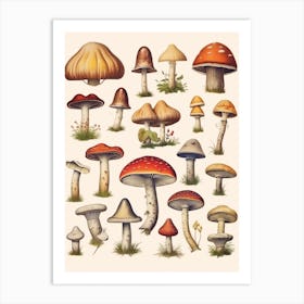 Vintage Mushrooms 1 Art Print