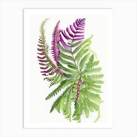 Royal Fern Wildflower Watercolour 2 Art Print