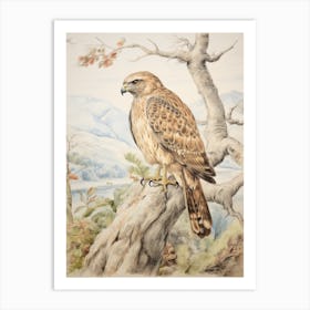 Storybook Animal Watercolour Hawk 1 Art Print