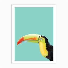 Toucan Art Print