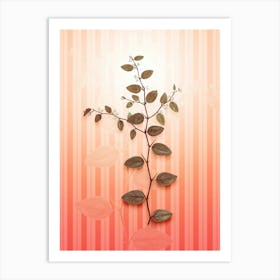 Christ's Thorn Vintage Botanical in Peach Fuzz Awning Stripes Pattern n.0312 Art Print