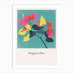 Bougainvillea 1 Square Flower Illustration Poster Art Print