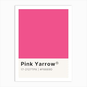 Pink Yarrow Art Print