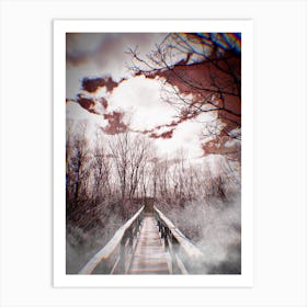 Bridge In The Woods Art Print