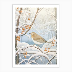 Winter Bird Painting Hermit Thrush 3 Art Print